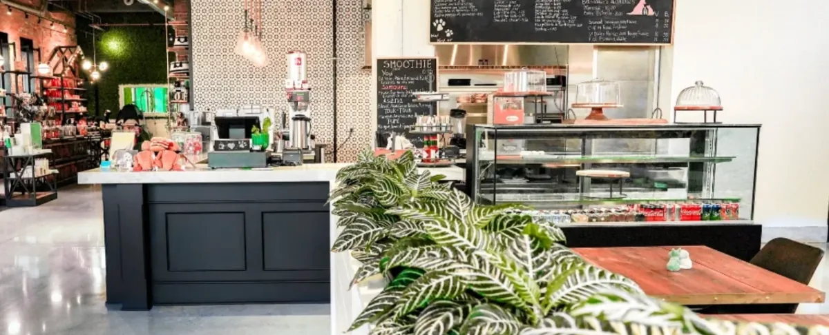 Ruby Café MTL, the pet-friendly café