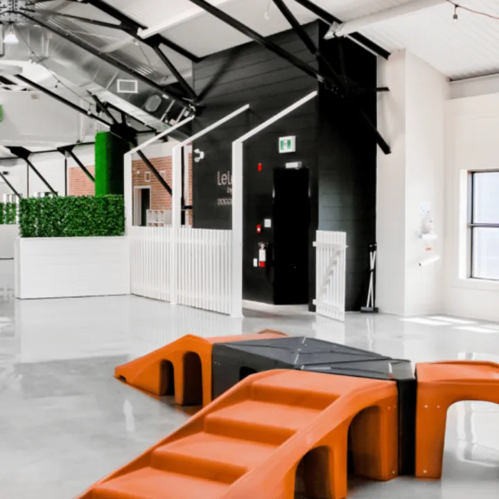Dog daycare indoor park at Doggieville MTL