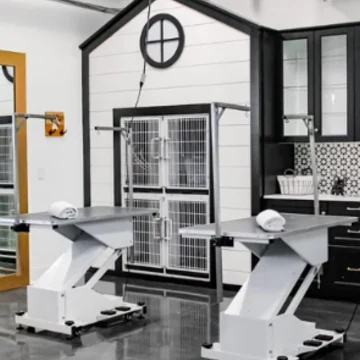 Dog grooming salon at Chloe’s Spaw