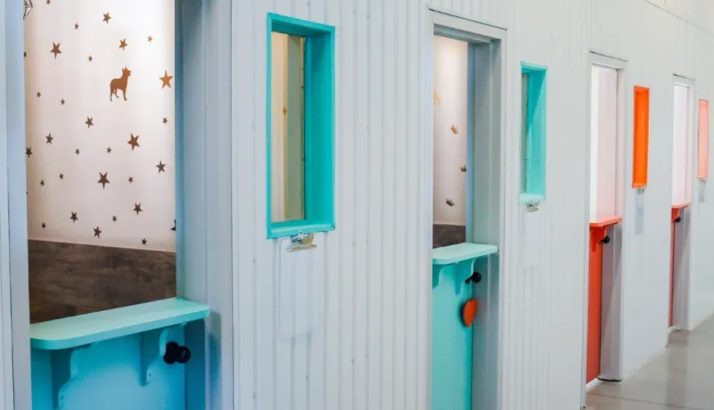 Dog boarding suites at Sam’s Lodge in Montreal
