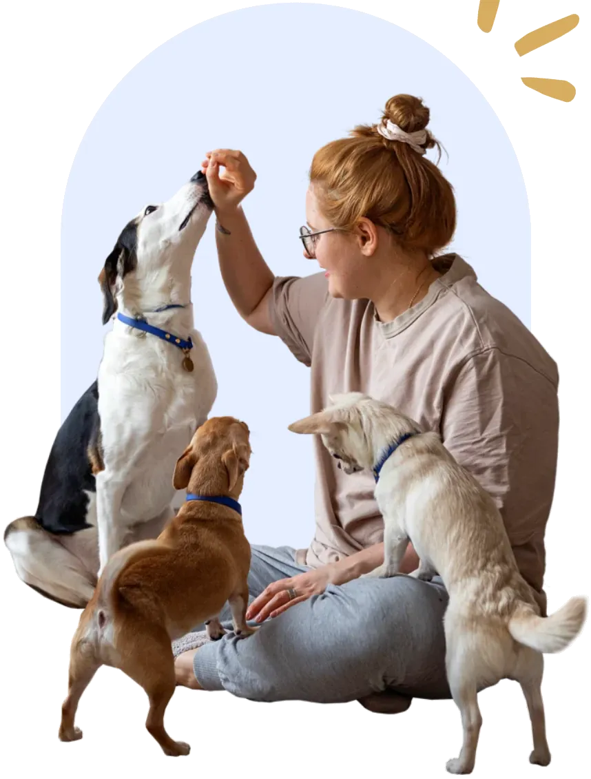 Trainer with three dogs at Doggieville MTL